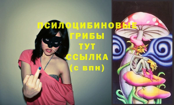 герыч Навашино