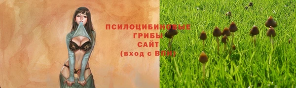 МДПВ Артём