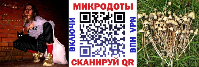 Псилоцибиновые грибы Magic Shrooms  Ядрин 