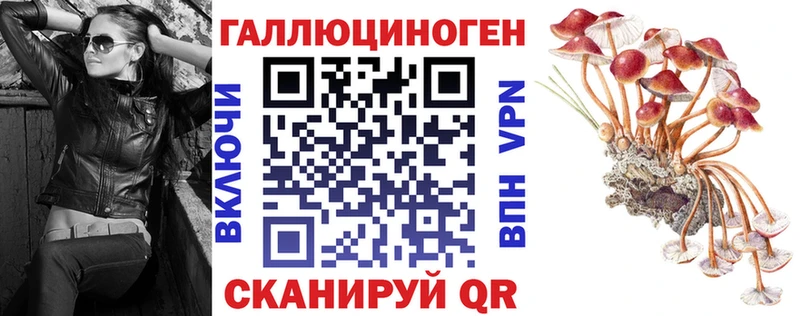 Псилоцибиновые грибы Psilocybine cubensis Ядрин